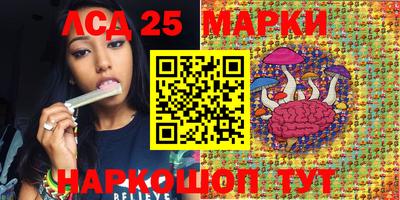 мяу мяу мука Будённовск