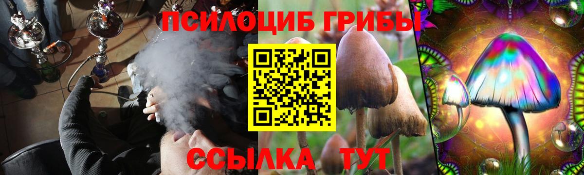 Наро-Фоминск  Псилоцибиновые грибы GOLDEN TEACHER  Вход с VPN 